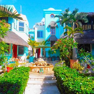 Casa Gatos